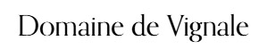 logo le domaine de Vignale